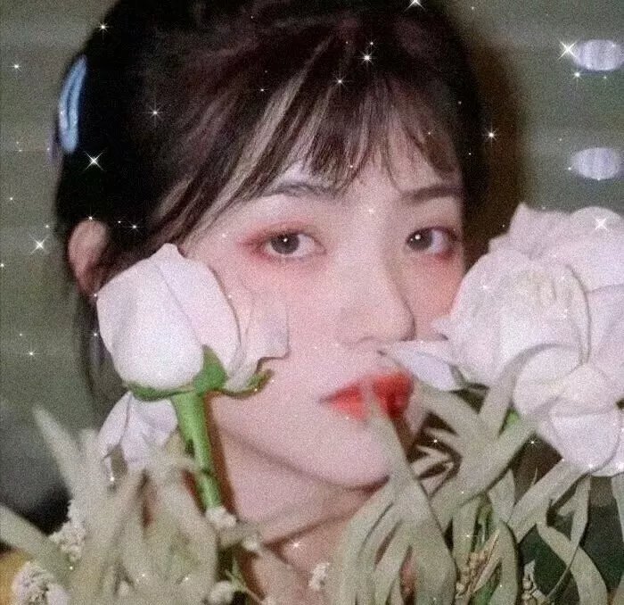 大丽花与红皮书