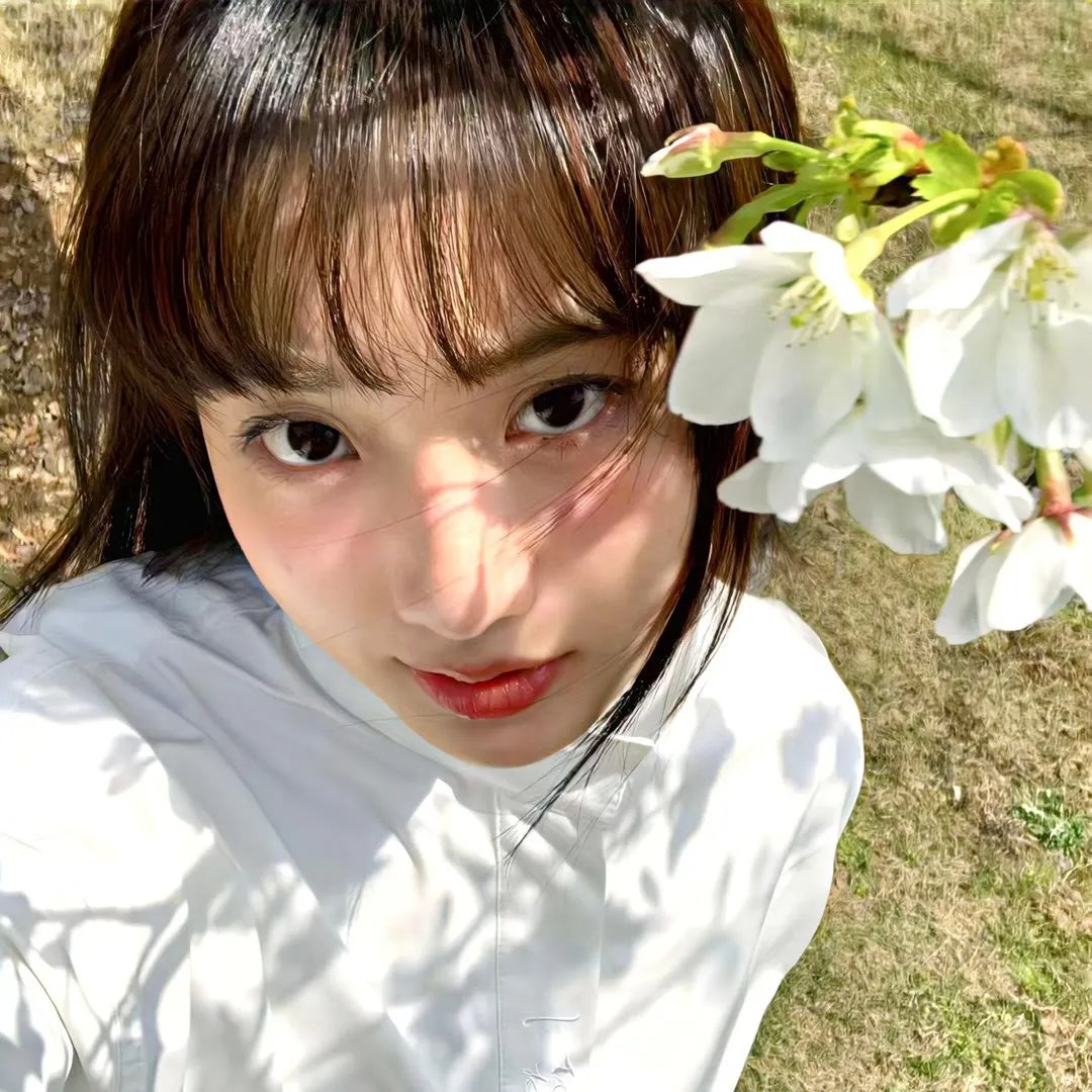少女十五十六时